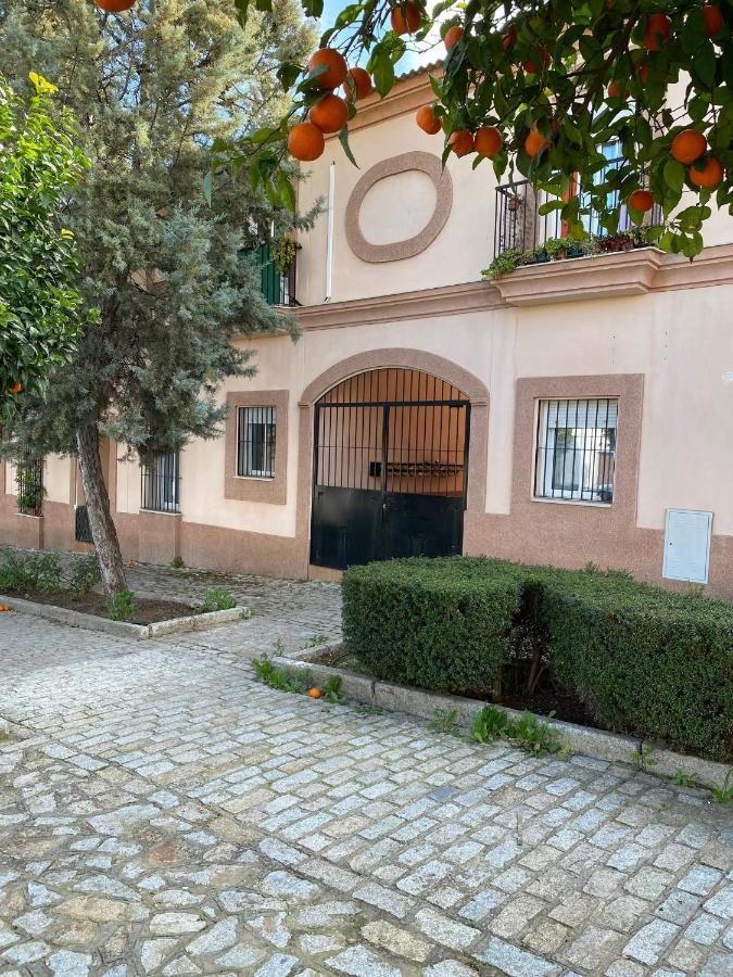 Sevilla. Gerena Casa Rural Para Familia O Profesionales Экстерьер фото