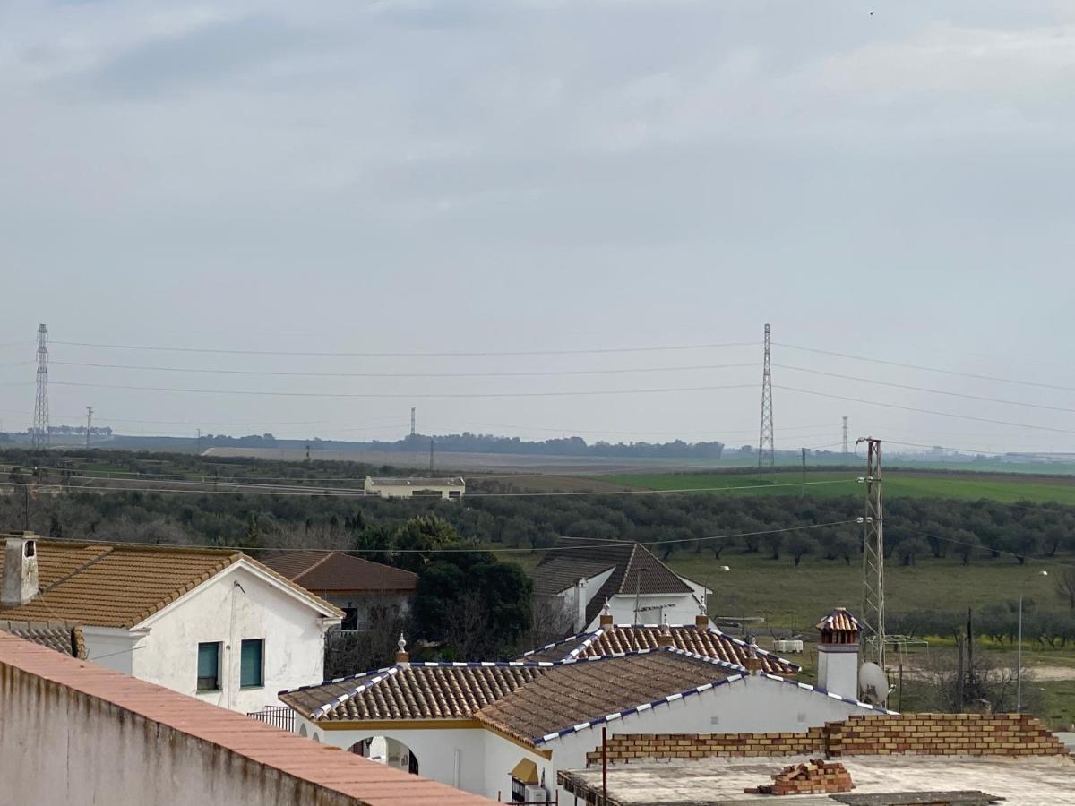 Sevilla. Gerena Casa Rural Para Familia O Profesionales Экстерьер фото