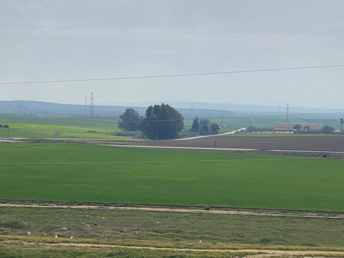 Sevilla. Gerena Casa Rural Para Familia O Profesionales Экстерьер фото